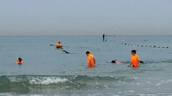 Sorry! Image not available at this time