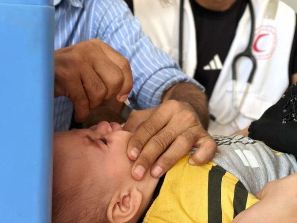 Sorry! Image not available at this time