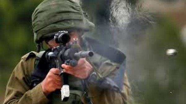 Sorry! Image not available at this time