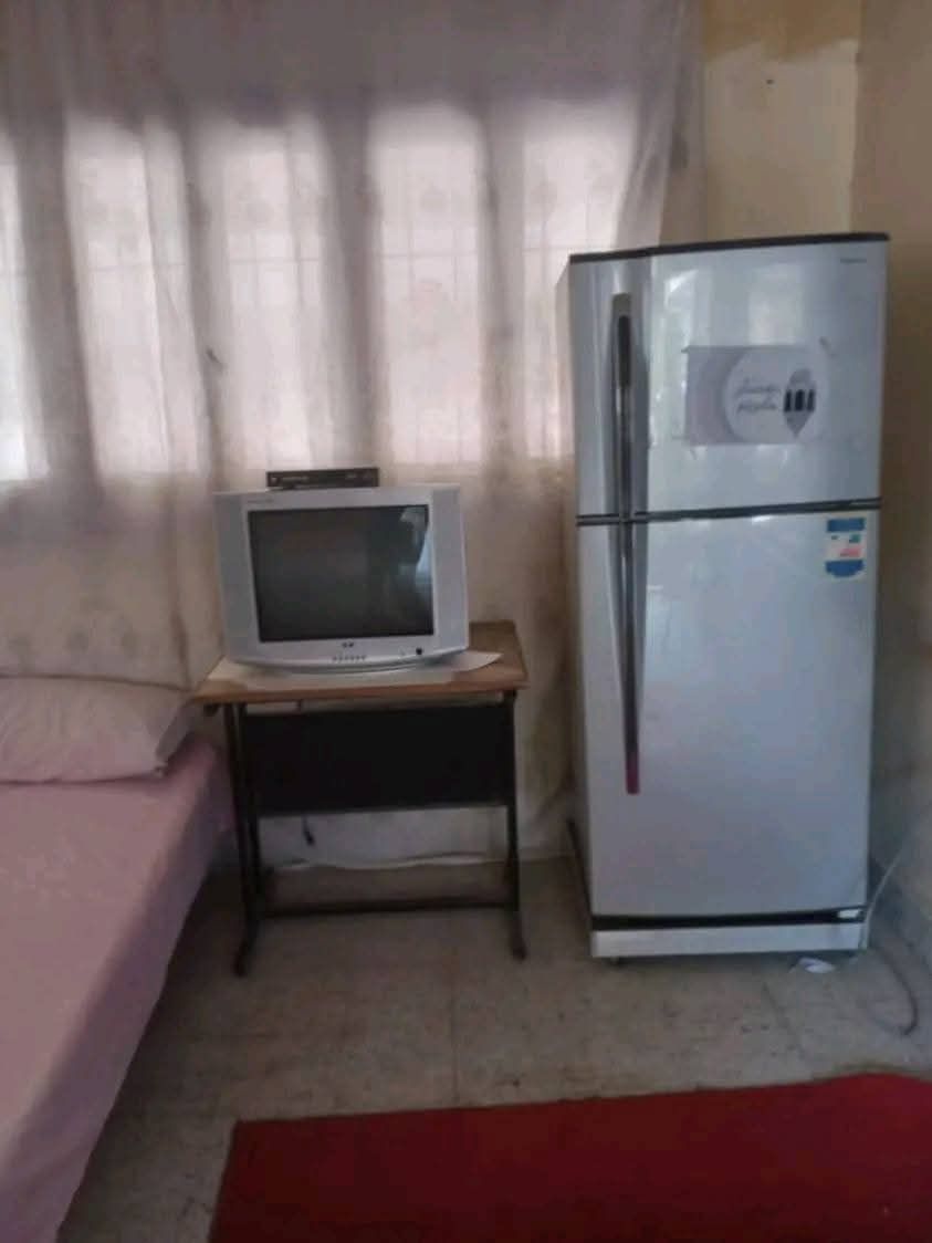 9bb6333525.jpg