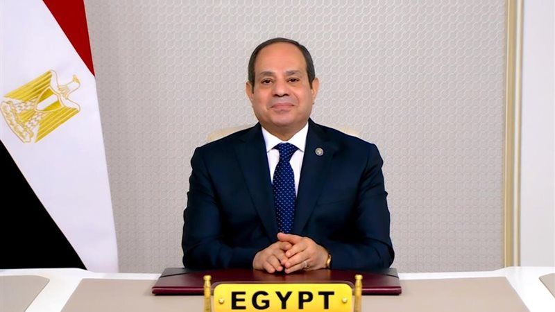 الرئيس السيسي، فيتو