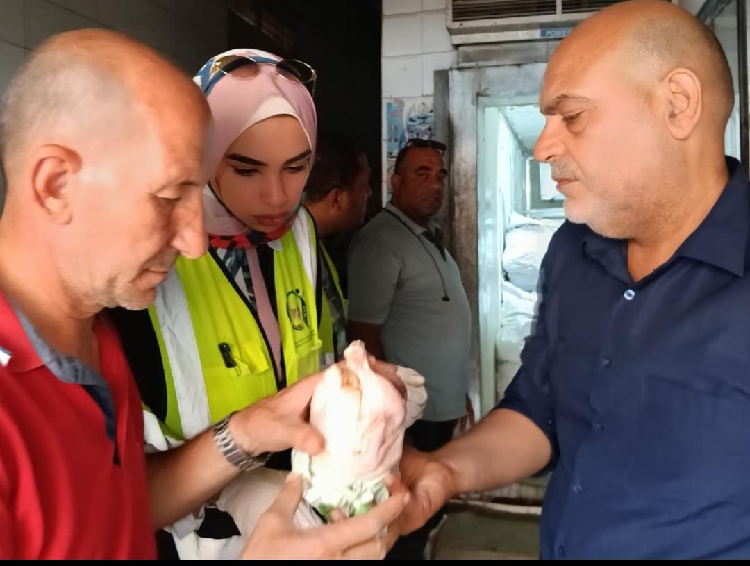 د.هاني شمس وكيل الطب البيطري بالقليوبية،فيتو