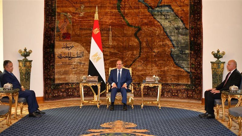 الرئيس السيسي ونبيل