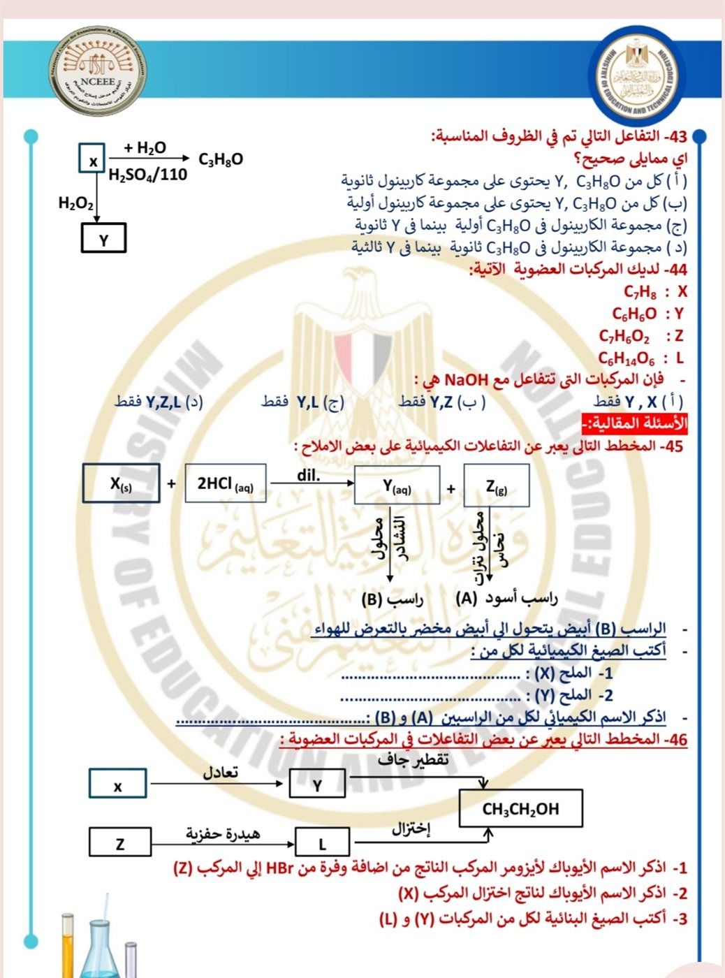 b80148da24.jpg