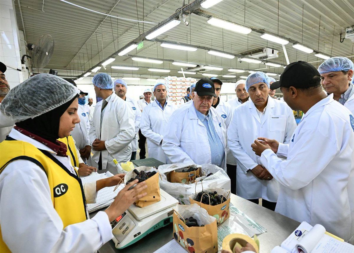 جولة رئيس مجلس الوزراء بالمشروعات الزراعية