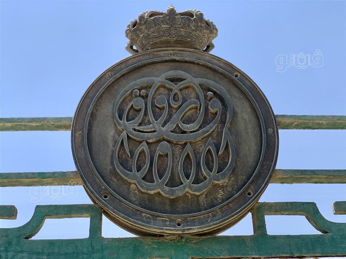 384355ad80.jpg