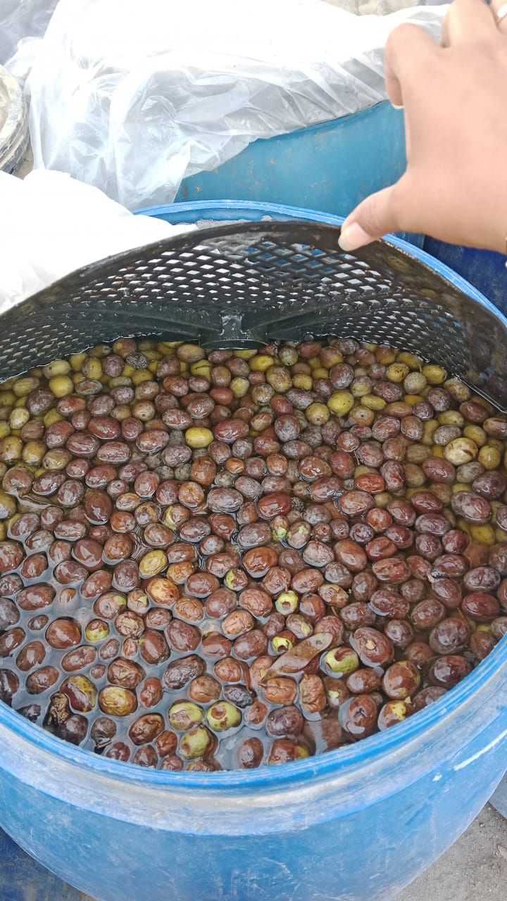 جانب من المضبوطات، فيتو