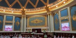 وزير التجارة أمام "الشورى" الأربعاء المقبل 5 يونيو