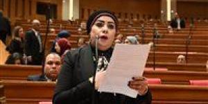 النائبة جيهان شاهين: تعديلات قانون تنظيم الأنشطة النووية والإشعاعية خطوة مهمة لتعزيز أمن الطاقة وحماية المواطن