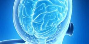 تطوير أول أطلس وظيفي لخرائط الدماغ البشري