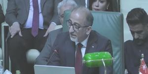 مندوب فلسطين بالجامعة العربية: الفلسطينيون سيظلون متمسكون بأرضهم رغم إجراءات إسرائيل المتصاعدة