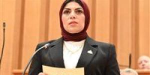 نهال أبو وافية: مشروع قانون الإدارة المحلية المقدم من الحكومة لا يواكب متطلبات المرحلة