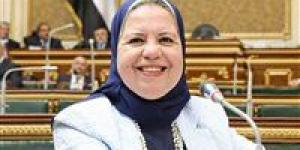 النائبة أمل عصفور لـ تحيا مصر: توجيهات الرئيس بشأن قوانين الأسرة تدعم إصدار تشريع متكامل يعزز استقرار المجتمع