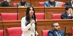 النائبة هايدي المغازي تتقدم بطلب إحاطة بشأن فجوة تطبيق التيسيرات الجمركية لنظام الترانزيت وتأثيرها على بيئة الأعمال