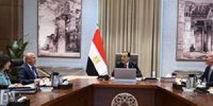 رئيس الوزراء يتابع موقف ترشيد استهلاك المواد البترولية في عدد من المشروعات الحكومية