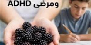 “ثمرة الإعجاز والتركيز ”.. كيف يتحول التوت الأسود إلى سلاح طبيعي لدعم مرضى ADHD؟