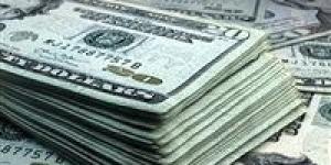 سقوط مافيا الدولار.. ضبط 8 ملايين جنيه عملات أجنبية في ضربات أمنية متزامنة