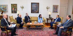 «رعاية المصريين بالخارج».. تفاصيل لقاء وزير الخارجية مع وزيرة الإسكان