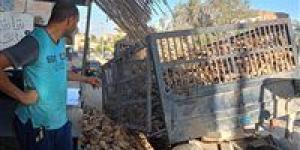 اختلال مقطورة جرار زراعي محمّلة بالبنجر في الفيوم بسبب أعمال الحفر دون إصابات