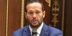 بالإجماع.. محمد حلاوة رئيسًا للجنة التجارة بالبرلمان الإفريقي