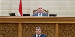 مجلس النواب يحيل مشروع قانون الحماية الرقمية وتصنيف المحتوى الأخلاقي للأطفال للجنة مشتركة لمناقشته