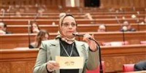 نجلاء العسيلي: «الدلتا الجديدة» ترجمة حقيقية لرؤية الرئيس السيسي في بناء مستقبل مصر الزراعي
