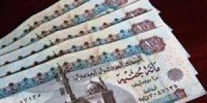 المعاش الإضافي في قانون التأمينات الجديد.. الشروط وطريقة الحساب وفقًا للقانون