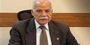 محمد أبو العلا: مصر تتحرك بثبات لحماية القضية الفلسطينية وإفشال مخططات تصفية الحقوق العربية