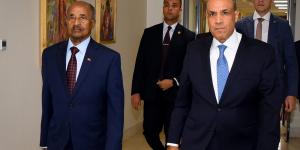 وزير الخارجية لـ نظيره الإريتري: أمن منطقة القرن الأفريقي امتداداً مباشراً للأمن القومي المصري