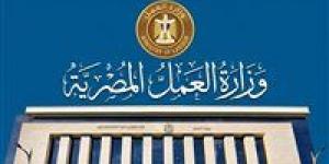 وزارة العمل تحذر من إعلانات التوظيف الوهمية بالخارج