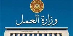 وزارة العمل تعلن عن 85 فرصة عمل بالإسماعيلية من بينها وظائف لذوي الهمم