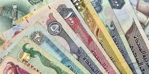 ارتفاع سعر الدرهم الاماراتي أمام الجنيه في بنك مصر مساء اليوم - النيل نيوز