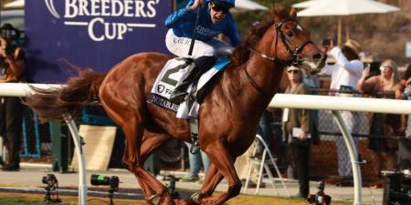 «نوتبيل سبيتش» لجودولفين بطل سباق البريدرز كب للميل (فيديو)