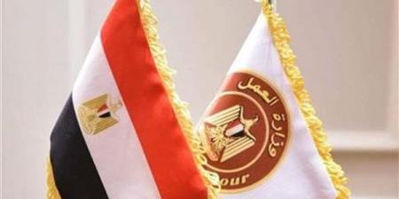 بعد إطلاقها من وزارة العمل.. مفهوم وأهداف مبادرة "التفتيش الذكي"