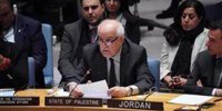 فلسطين أمام مجلس الأمن: خروقات إسرائيلية متواصلة ونداء دولي لحماية غزة