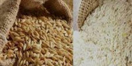 سعر
الأرز
الشعير
اليوم
..كم
سعر
طن
الأرز
الشعير
الآن
2025
؟(تحديث)