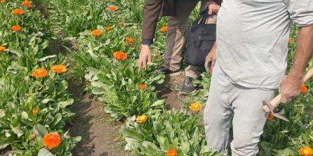 محافظ
      الفيوم:
      نهو
      969
      مشروعاً
      ضمن
      المرحلة
      الأولى
      من
      المبادرة
      الرئاسية
      "حياة
      كريمة"
      بمركزي
      إطسا
      ويوسف
      الصديق