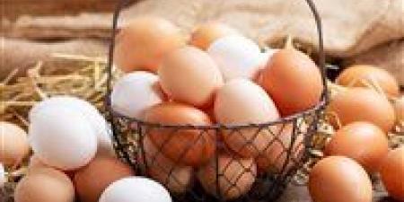 أسعار
البيض
اليوم
تعكس
تحركات
السوق