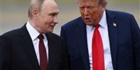 مكالمة ساخنة.. ترامب يعلن محادثات مثمرة مع بوتين قبيل اجتماعه المرتقب بزيلينسكي