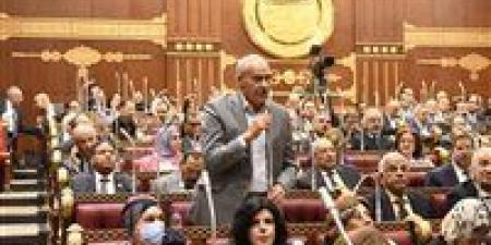 نائب بالشيوخ لتحيا مصر: مراكز الإصلاح والتأهيل نموذج إنساني متطور