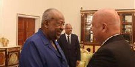 نحو تكامل اقتصادي إقليمي.. مصر وجيبوتي توسعان التعاون في مشروعات النقل والبنية التحتية والطاقة الخضراء