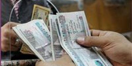 بعد قرار التبكير من المالية..موعد صرف مرتبات يناير 2026 رسميًا