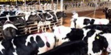 قانون الزراعة يفرض رقابة مشددة على الحجر البيطري للحيوانات المستوردة ومنتجاتها