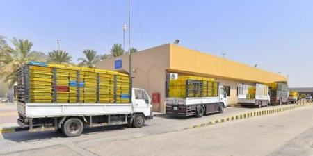السعودية.. تمديد مهلة تصحيح أوضاع منشآت النقل البري في أنشطة نقل البضائع