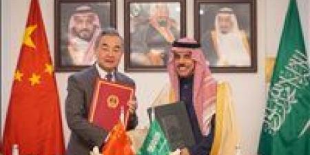«بكين والرياض».. وزير الخارجية الصيني: مضيق هرمز سيظل غير مستقر ما لم تنته الحرب
