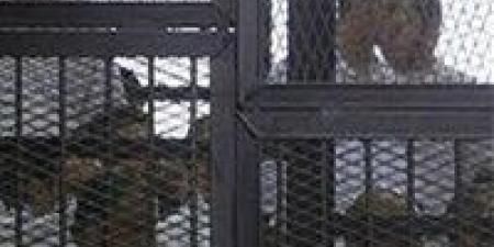 تأجيل محاكمة “الهيكل الإداري للإخوان” إلى يونيو