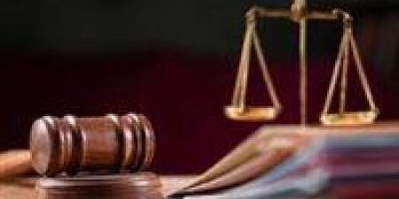 "خلية حلوان".. محاكمة 11 متهماً أمام الجنايات