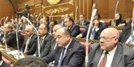 عمرو رشاد: قانون حماية المنافسة ومنع الاحتكار يضع إطارا تشريعيا متكاملا يحمي المنافسة ويعزز كفاءة الأسواق ويضمن الوصول إلى سعر عادل للمواطنين