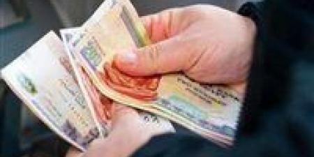 الهيئة القومية للتأمين الاجتماعي تعلن زيادة المعاشات السنوية 2026 في هذا الموعد