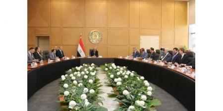 وفد «الدوما» الروسي يبحث مع وزير الكهرباء تطور الأعمال بمحطة «الضبعة» النووية